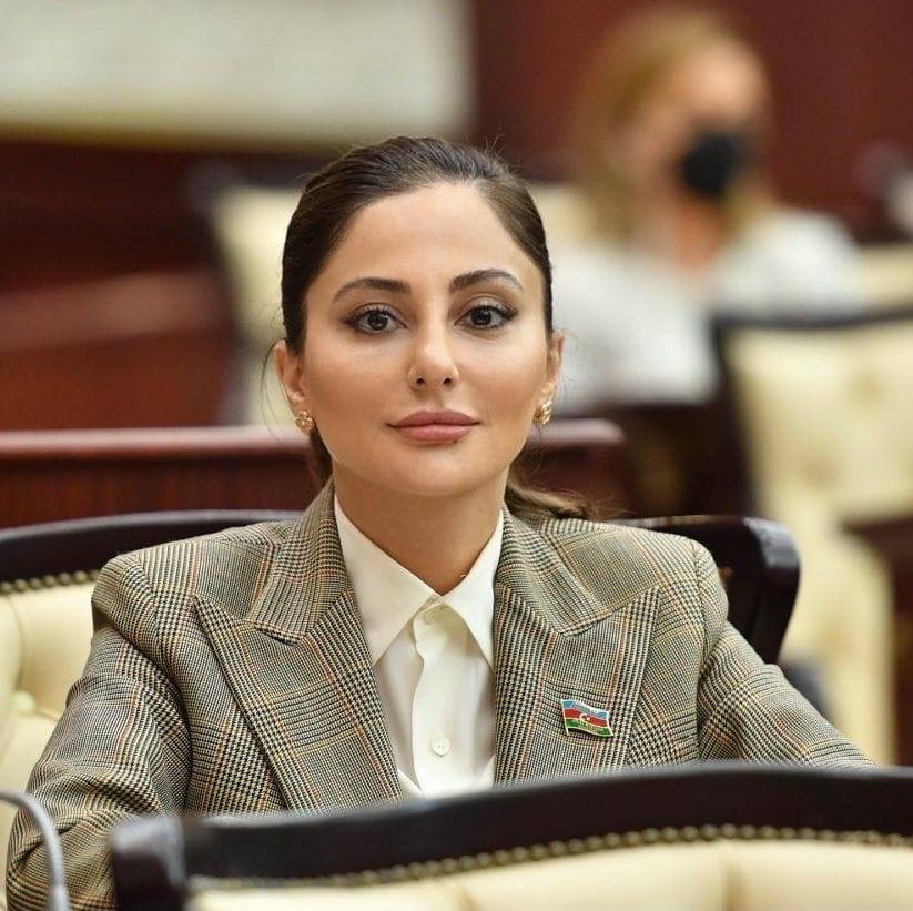 Deputat Əminə Ağazadə Qanuna əlavələri təqdim etdi