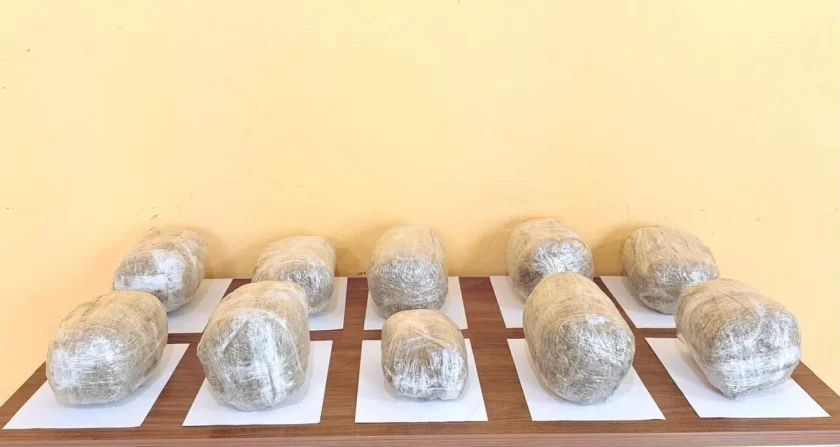 Keçən ay sərhəddə yarım tondan çox narkotik vasitə aşkarlanıb