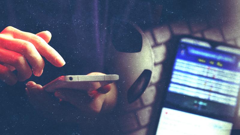 7 milyon dollarlıq qumar şəbəkəsi məhv edilib